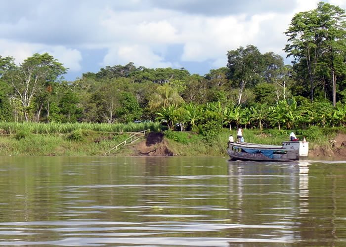 AMAZONAS02