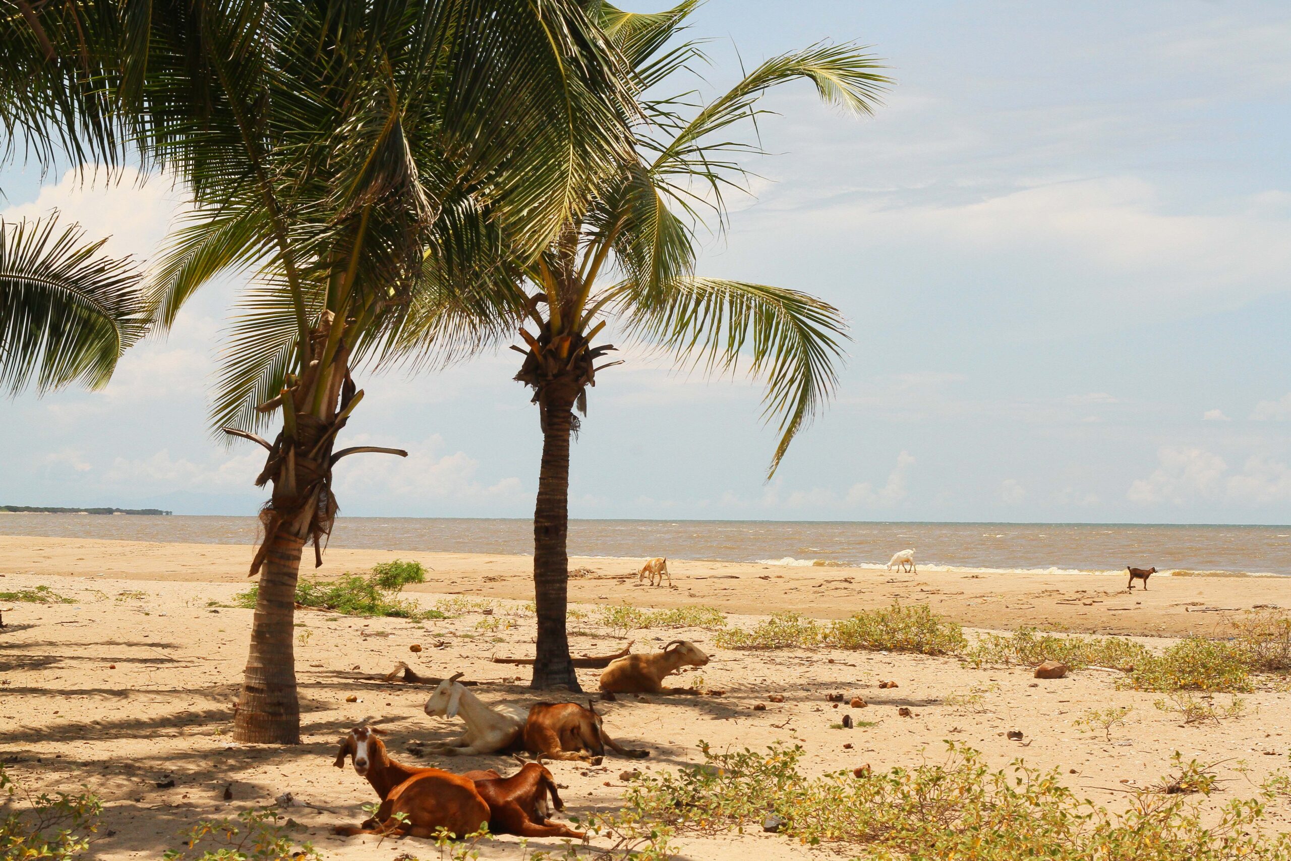 LA-GUAJIRA2